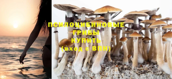 спайс Абинск