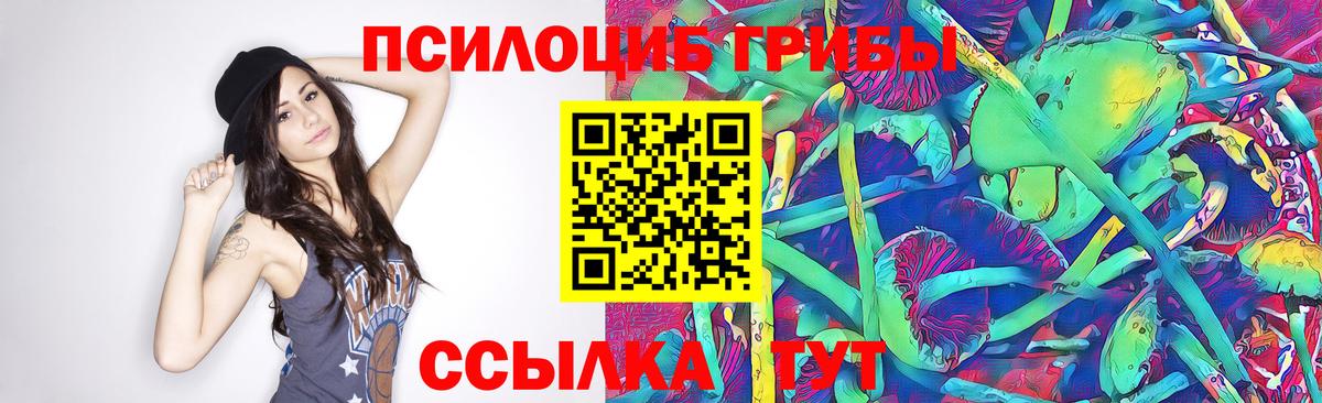 Галлюциногенные грибы MAGIC MUSHROOMS  Псилоцибиновые грибы Cubensis  Вход с VPN  Саратов 